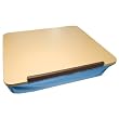 Posture-Rite Lap Desk ~ Maxi-Aids