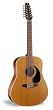Seagull S12+ Cedar Acoustic Guitar