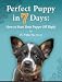 Perfect Puppy in 7 Days: How to Start Your Puppy Off Right