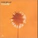 Music : Yellow