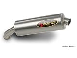 Produkt-Bild: AKRAPOVIC Auspuff BMW R 1200 R 06-09 SLIP-ON TITAN OVAL /ABE
