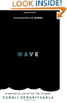 Wave: A Memoir of Life After the Tsunami