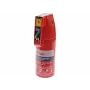 Kidde KSF1GM 1.0Kg Easi Action Home Fire Extinguisher