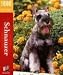   - Schnauzer 1000pc Puzzle