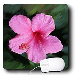 Flowers - Pink Hibiscus - Mouse Pads