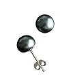 Enhanced Black 4.5-5mm AAAA Cultured Pearl Platinum Overlay Sterling Silver Stud Earrings (LS1B)