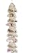 Closet Complete 66003 Hanging 18 Pocket Shoe Organizer with Use Your own Hanger 13 w x 60 h