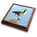 Canada Goose Photographed by Angelandspot - 8x8 Trivet With 6x6 Ceramic Tile