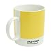 W2&times;PANTONE MUG PROCESS YELLOW C マグカップ イエロー W2-PA03