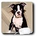 terrier6 - Dogs Boston Terrier Boston Terrier Mouse Pads