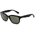Ray-Ban 0RB4159 Square Sunglass
