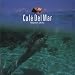 Café del Mar, Vol. 8