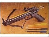 NEW Hand Held Hunting Archery 50LB PISTOL CROSSBOW Gun