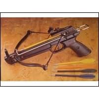 NEW Hand Held Hunting Archery 50LB PISTOL CROSSBOW Gun