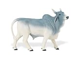 Safari Farm: Brahma Bull