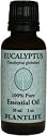 Eucalyptus 100% Pure Essential Oil - 30 ml