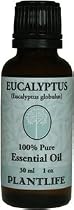 Eucalyptus 100% Pure Essential Oil - 30 ml