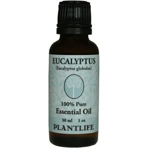 Eucalyptus 100% Pure essential Oil -30ml by Plantlife