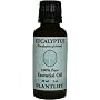 Eucalyptus 100% Pure Essential Oil - 30 ml