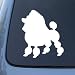 TOY POODLE - Dog - Vinyl Car Decal Sticker #1565 | Vinyl Color: White