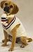 XXS Preppy Cable Knit Dog Varsity Sweater