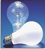 20,000 Hour Flood Light Bulb - 65 Watt