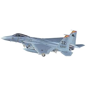 【クリックで詳細表示】1/48 F-15C イ-グル ＃P10