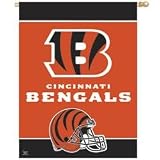 Cincinnati Bengals Banner