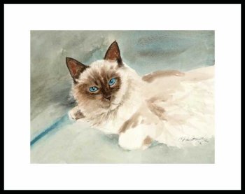 Ragdoll Framed Artist's Proof by Drew Strouble