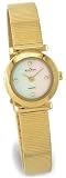 Skagen Women's Stainless Steel Mesh Watch #107XSGGD