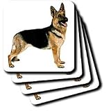 Dogs German Shepherd - German Shepherd - Coasters