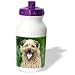 Dogs Border Terrier - Border Terrier - Water Bottles