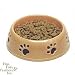 Ethical 6 inch Pierced Dog Dish, Persimmon