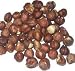 Filberts, Shelled, Raw, Organic, 5# Bulk