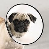 Dog Elizabethan Collar X-Small 8 For Fast Healing