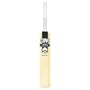 GM Icon DXM GM + Original LE Now TT English Willow Cricket Bat Long Handle