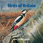 Birds of Britain Calendar 2005 (Square Calendar)