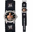 W.W.E. Triple H Future Star Series