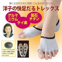 洋子の快足だるトレックス　L