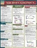 Microeconomics (Quickstudy Reference Guides - Academic)