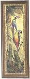 Macaw I Framed Art