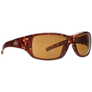 Buy Anarchy Mens Degenerate Resin Sunglasses,Grey Frame Grey Lens,one size by Anarchy