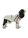 CREAM - X-SMALL - Fashion Pet Alpine Ski Sweater