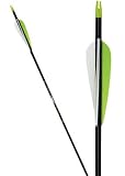 Martin Archery Blackhawk Carbon Vapor Arrows with Feathers Size 4000, 8.9g per inch