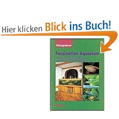 Faszination Aquarium