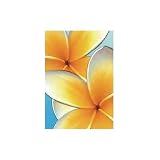 (16x20) Frangipani (Blue) Art Poster Print