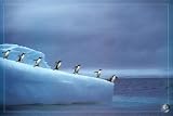 (24x36) Leadership, Save Our Planet (Penguins) Art Poster Print