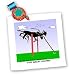 Londons Times Religion Heaven Hell Cartoons - The Grim Leaper - Quilt Squares Image