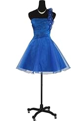 A-line Cocktail Short Pleated Lace One Shoulder Organza Natural   Waistline  Dress