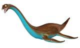 Giant Soft Touch Elasmosaurus ( 9218 )